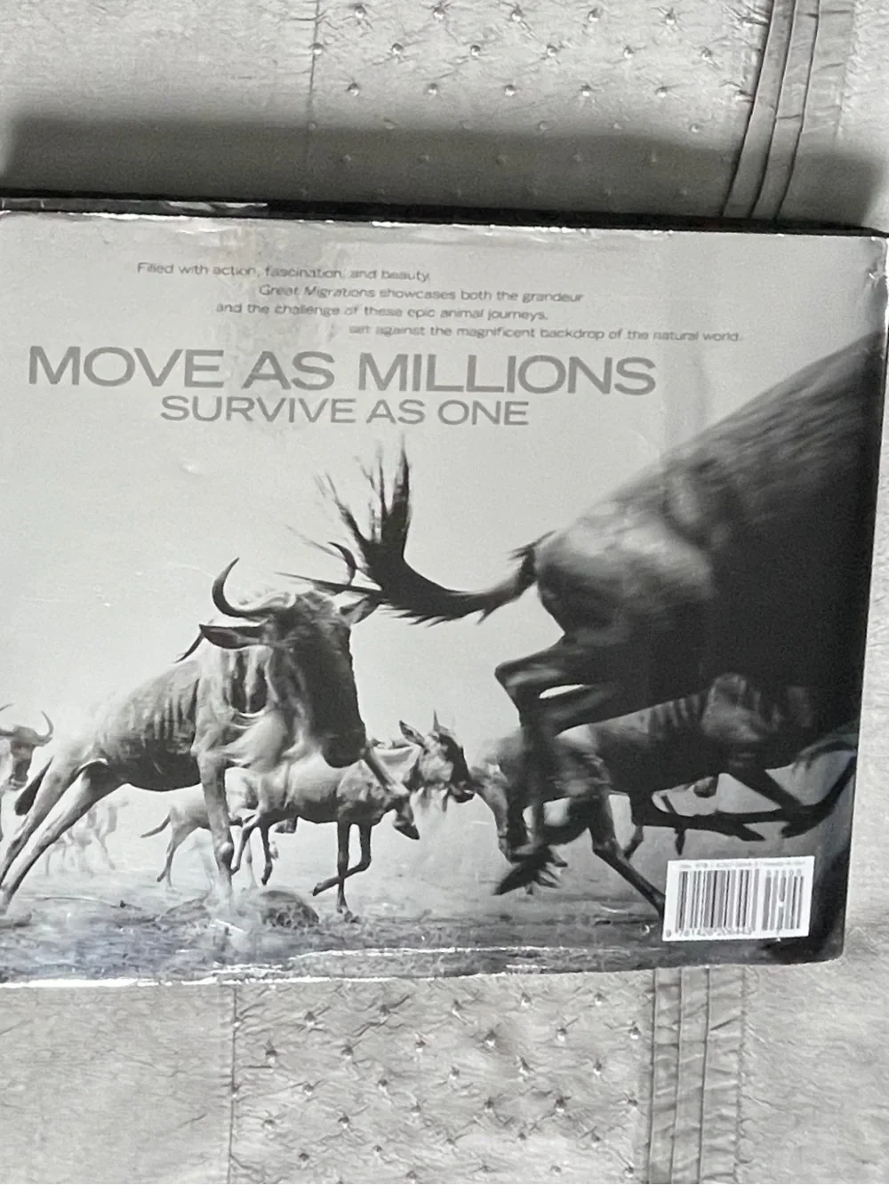National Geographic Great Migrations Photography Coffee Table Book